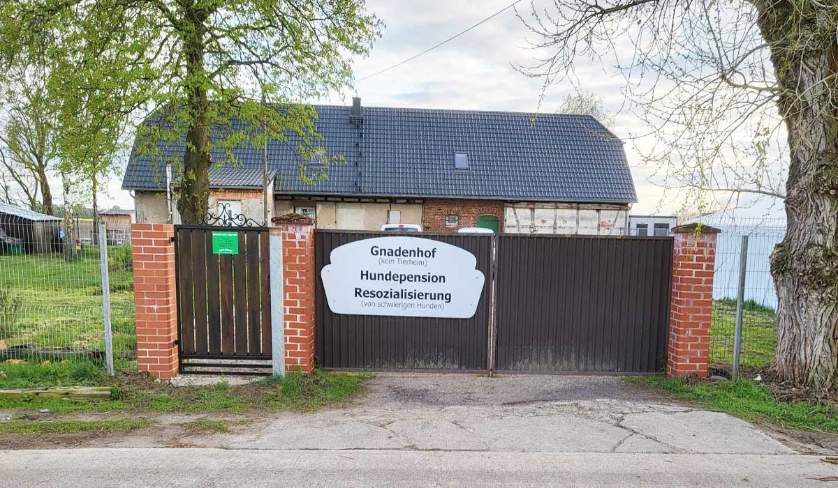 hundepension_001